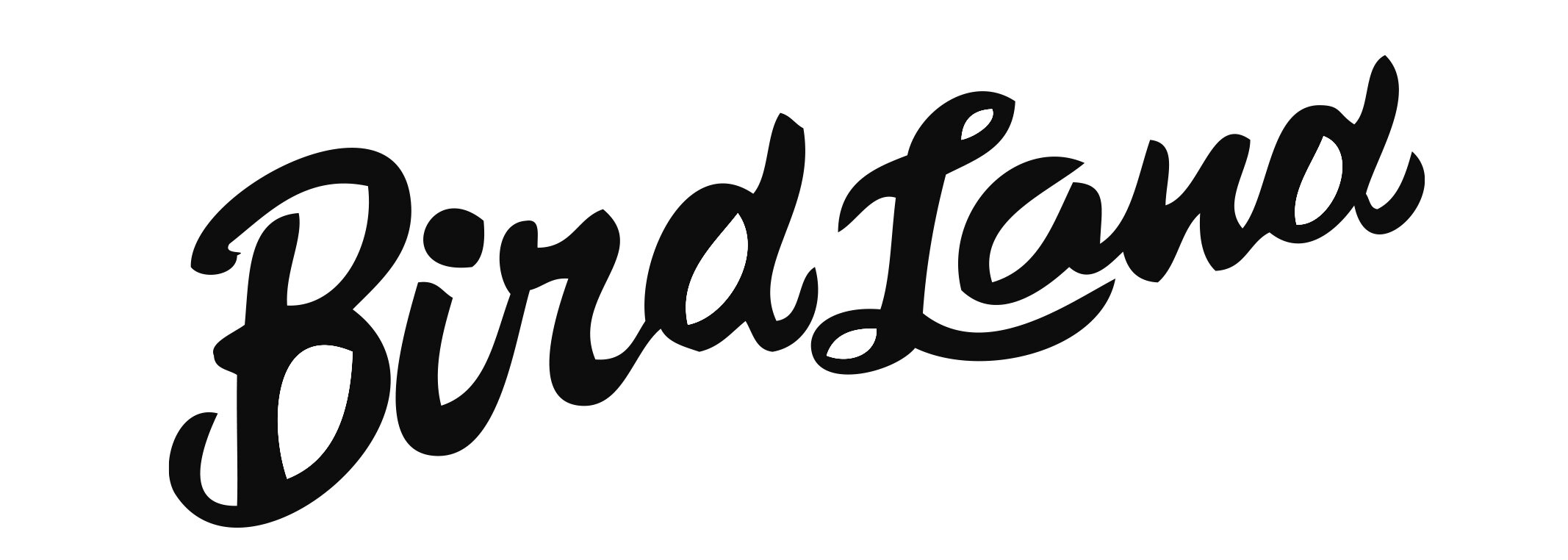 BIRD LAND 2022 DESIGN LOGO .jpg